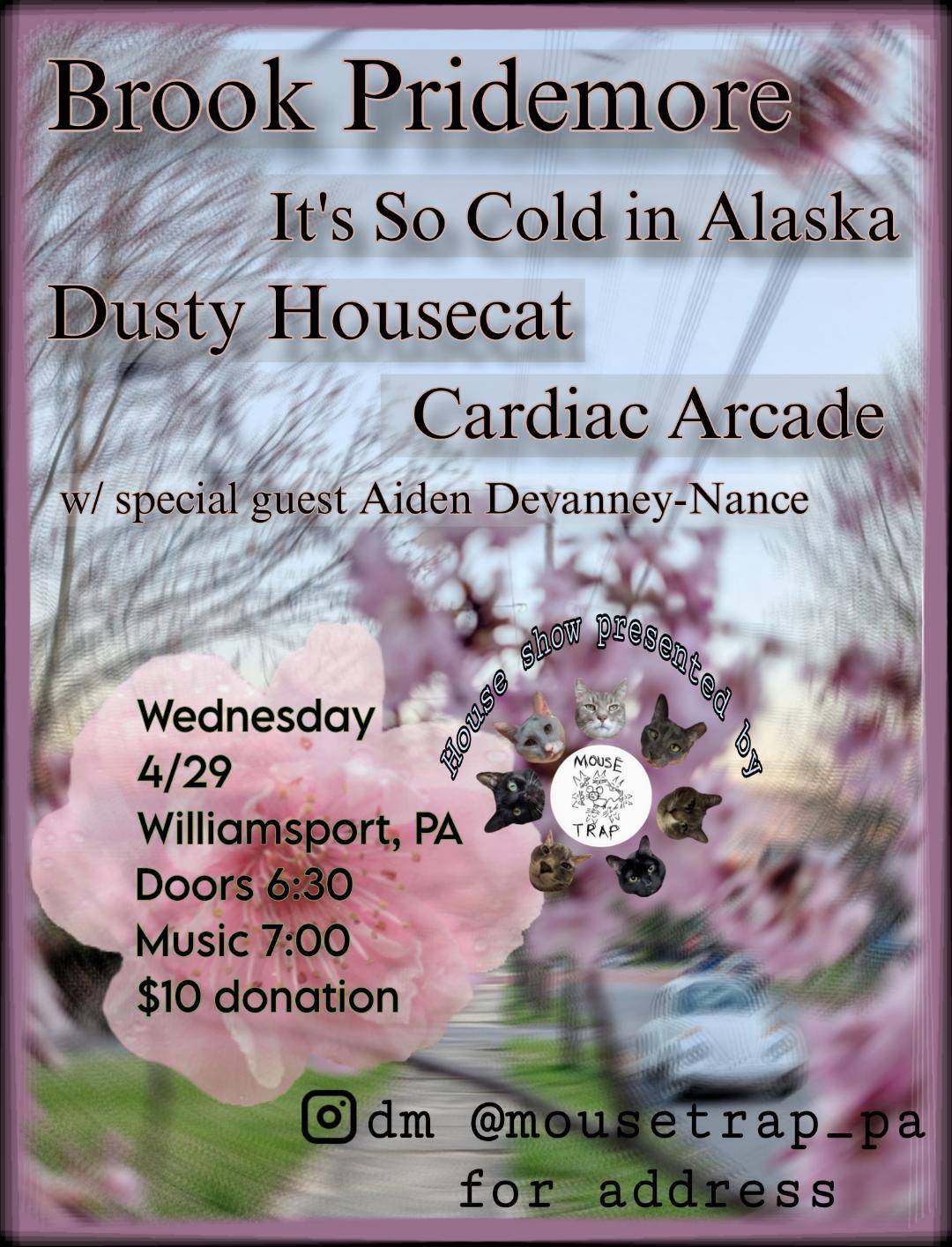 Flyer for Brook Pridemore, Cardiac Arcade, It's So Cold in Alaska, Dusty Housecat