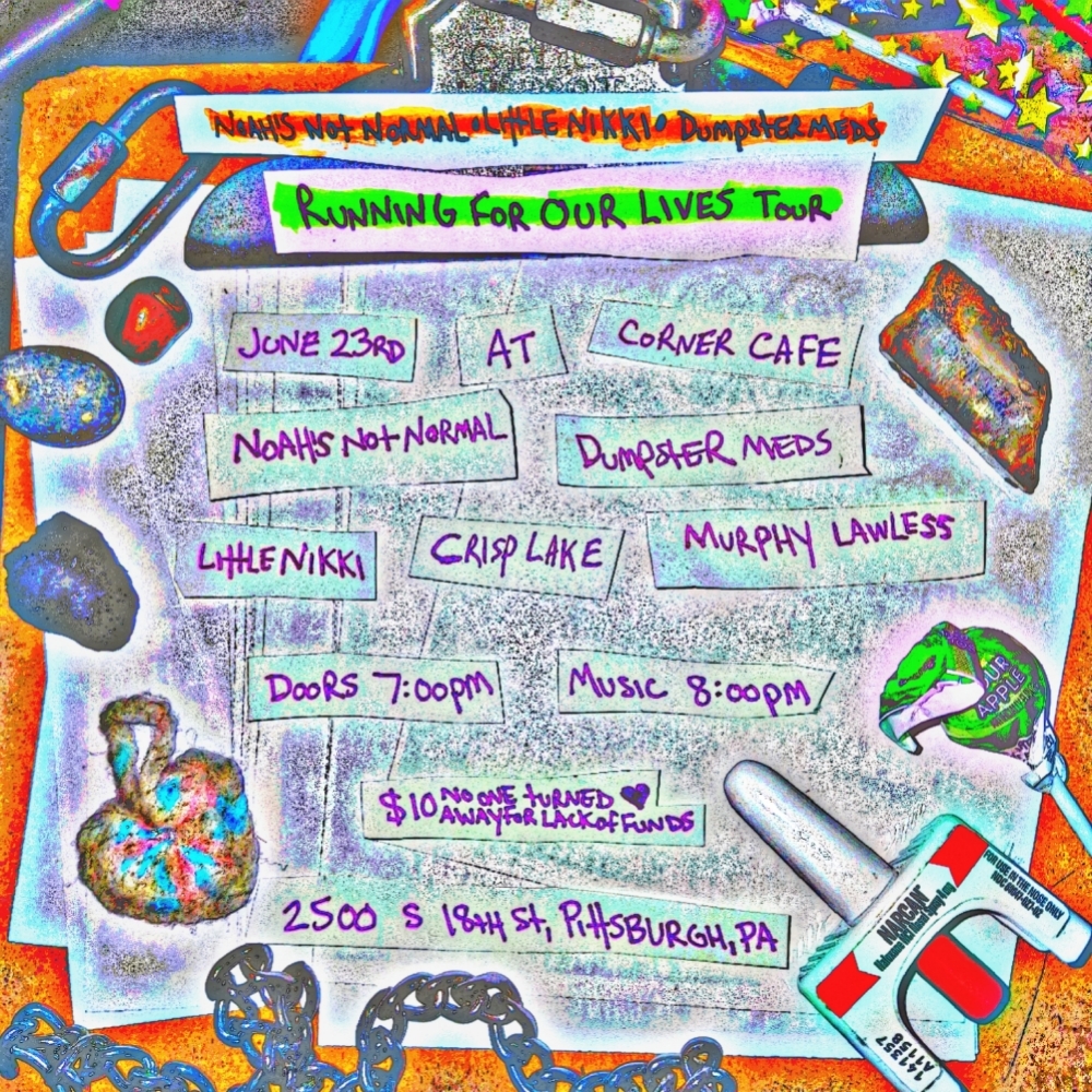 Flyer for Dumpster Meds, Little Nikki, Crisp Lake, Noah's Not Normal, Murphy Lawless
