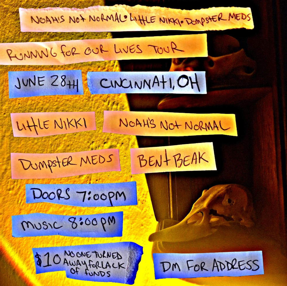 Flyer for Dumpster Meds, Little Nikki, Noah's Not Normal, Bent Beak