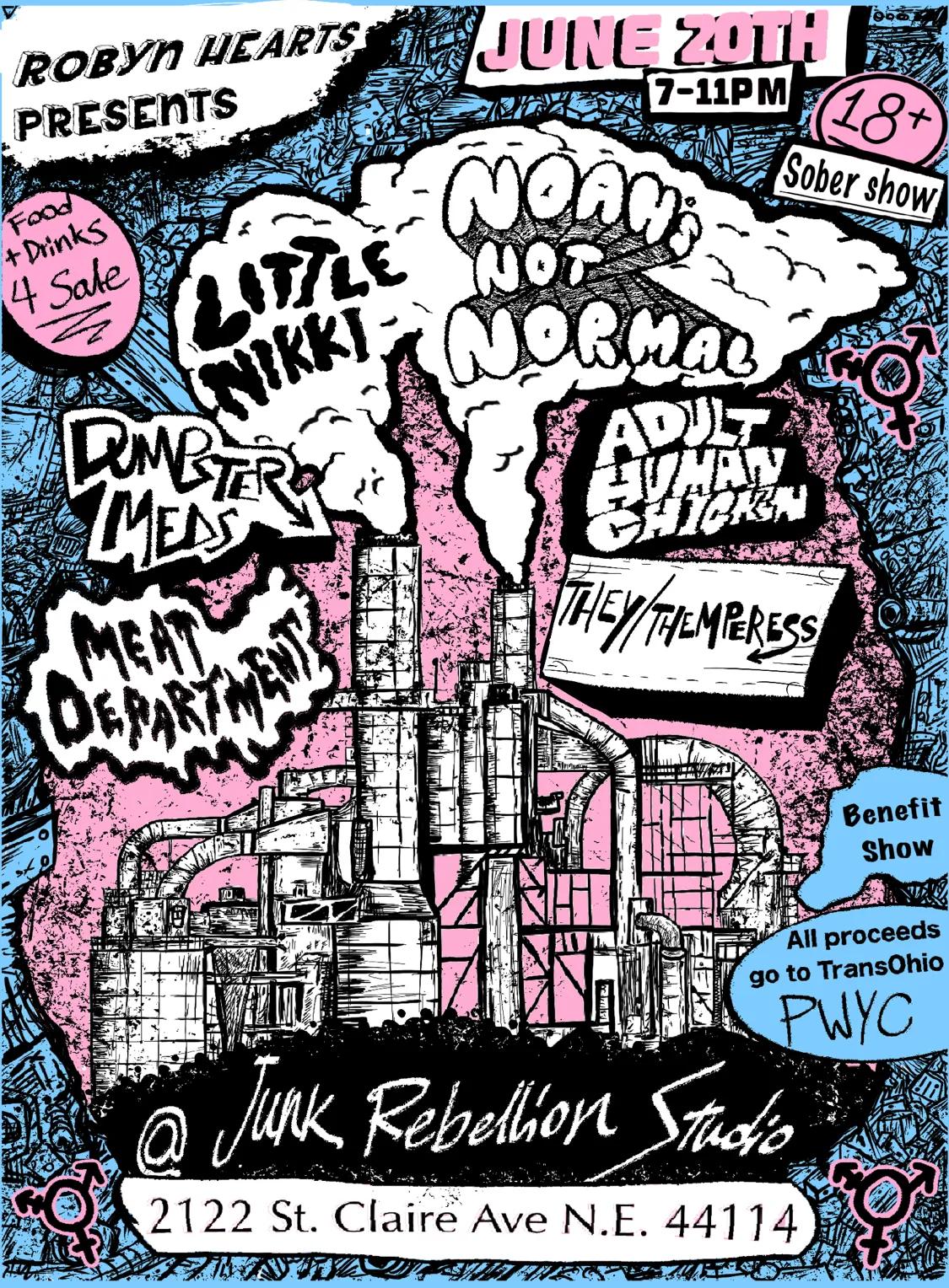 Flyer for Dumpster Meds, Little Nikki, They/Themperess, Noah's Not Normal, Meat Department, Adult Human Chicken