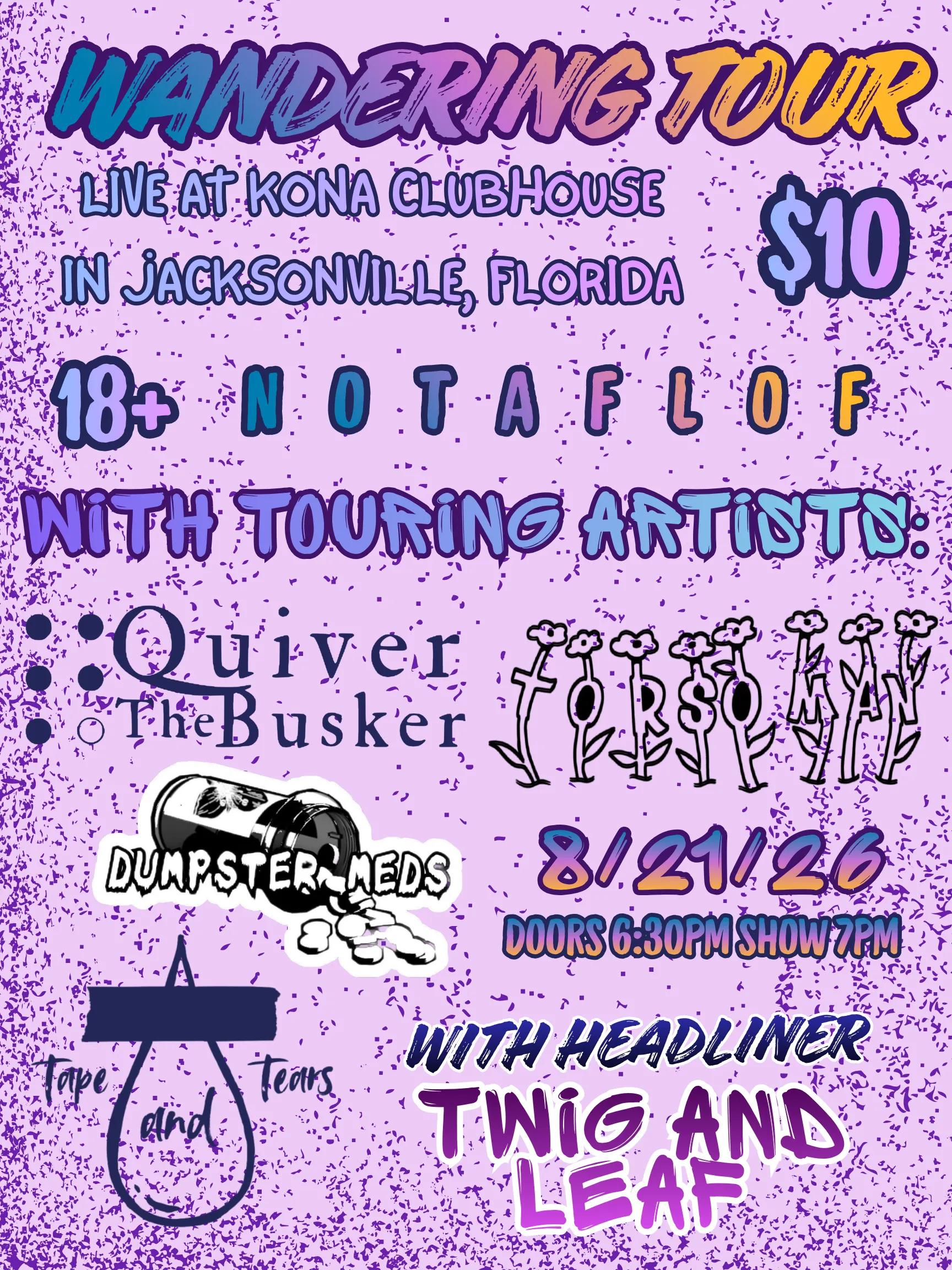 Flyer for Dumpster Meds, Twig & Leaf, Tape and Tears, Quiver The Busker, Torso Man