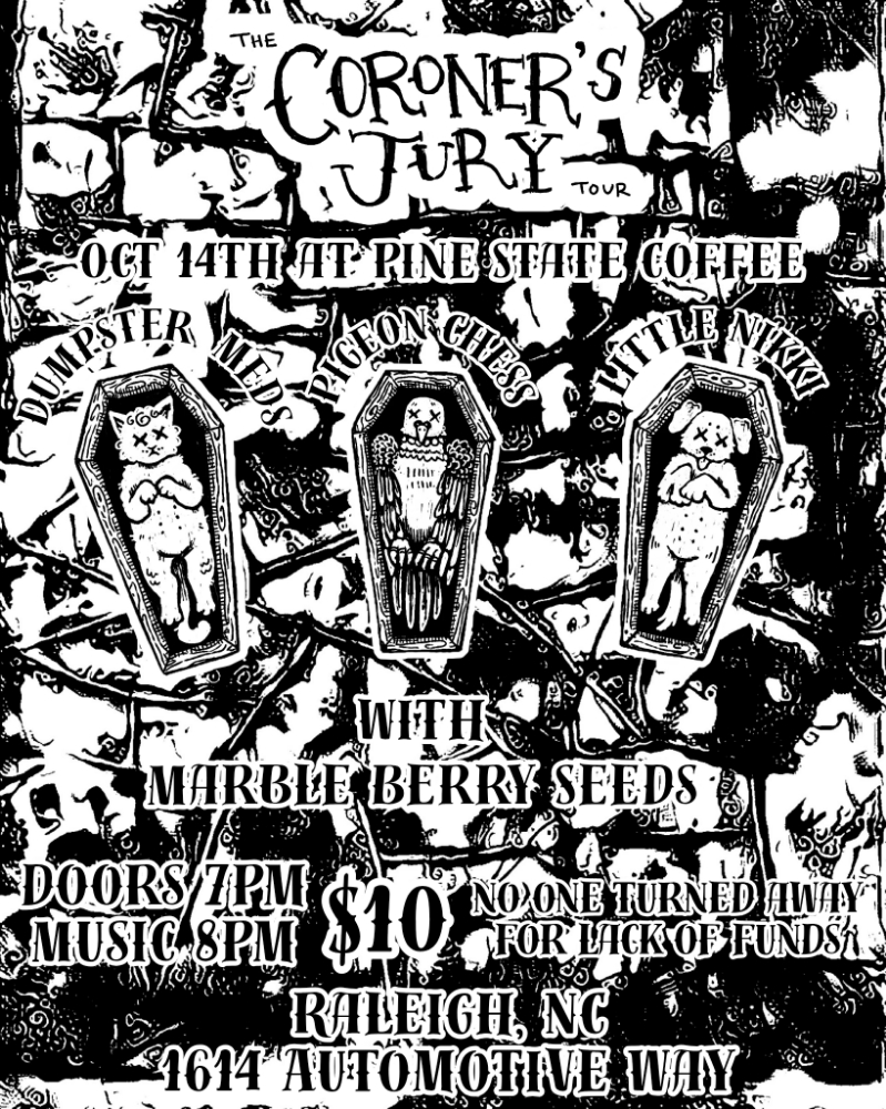 Flyer for Dumpster Meds, Pigeon Chess, Little Nikki, Marble Berry Seeds