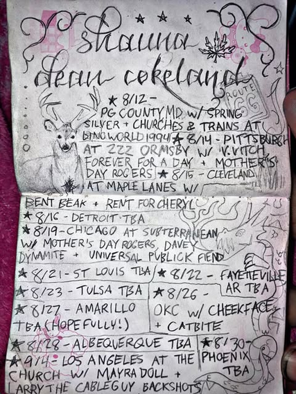 Flyer for Shauna Dean Cokeland